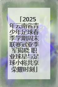 2025年云南省青少年足球春季学期周末联赛冠亚季军揭晓 职业球星与足球小将共享荣耀时刻