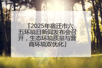 2025年宿迁市六五环境日新闻发布会召开，生态环境质量与营商环境双优化