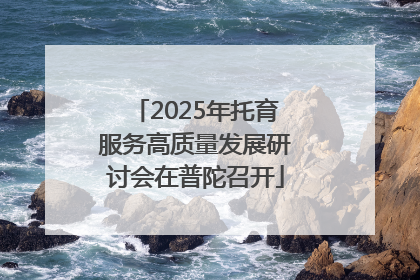 2025年托育服务高质量发展研讨会在普陀召开