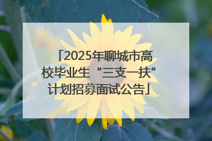 2025年聊城市高校毕业生“三支一扶”计划招募面试公告
