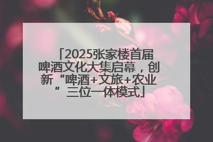 2025张家楼首届啤酒文化大集启幕，创新“啤酒+文旅+农业”三位一体模式