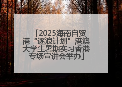 2025海南自贸港“逐浪计划”港澳大学生暑期实习香港专场宣讲会举办