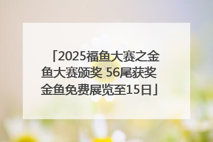 2025福鱼大赛之金鱼大赛颁奖 56尾获奖金鱼免费展览至15日