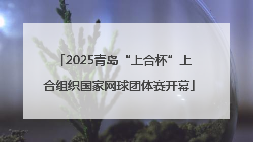 2025青岛“上合杯”上合组织国家网球团体赛开幕
