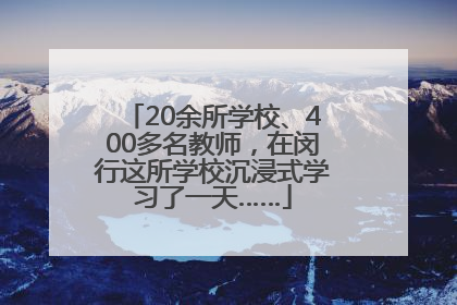 20余所学校、400多名教师，在闵行这所学校沉浸式学习了一天……