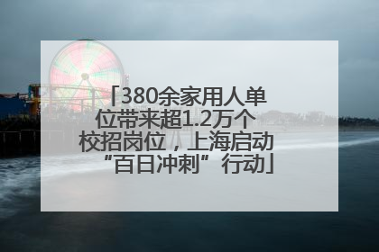 380余家用人单位带来超1.2万个校招岗位，上海启动“百日冲刺”行动