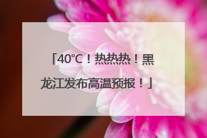 40℃！热热热！黑龙江发布高温预报！