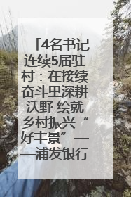 4名书记连续5届驻村：在接续奋斗里深耕沃野 绘就乡村振兴“好丰景”——浦发银行南京分行助力脱贫攻坚、帮促乡村振兴记事（二）