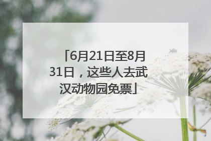 6月21日至8月31日，这些人去武汉动物园免票