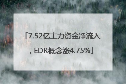 7.52亿主力资金净流入，EDR概念涨4.75%