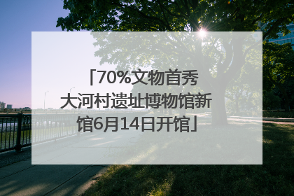 70%文物首秀 大河村遗址博物馆新馆6月14日开馆