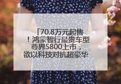 70.8万元起售！鸿蒙智行最贵车型尊界S800上市，欲以科技对抗超豪华品牌，余承东发布会未提及迈巴赫
