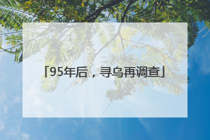 95年后，寻乌再调查