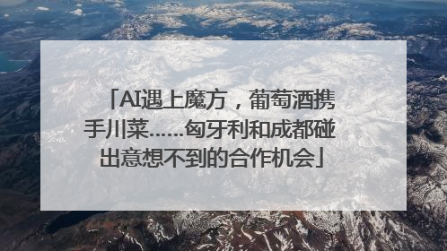 AI遇上魔方，葡萄酒携手川菜……匈牙利和成都碰出意想不到的合作机会