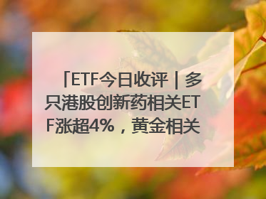 ETF今日收评｜多只港股创新药相关ETF涨超4%，黄金相关ETF跌逾1%
