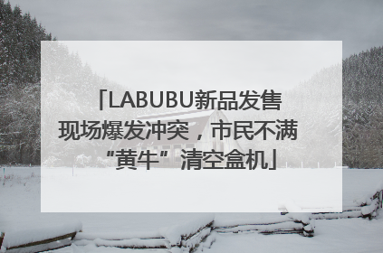 LABUBU新品发售现场爆发冲突，市民不满“黄牛”清空盒机